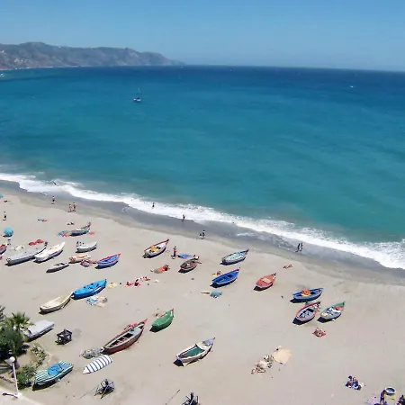 Willa R1352 Pinomar D *