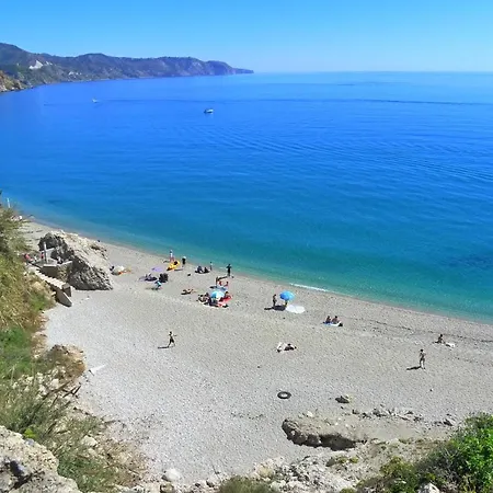 R1352 Pinomar D Willa